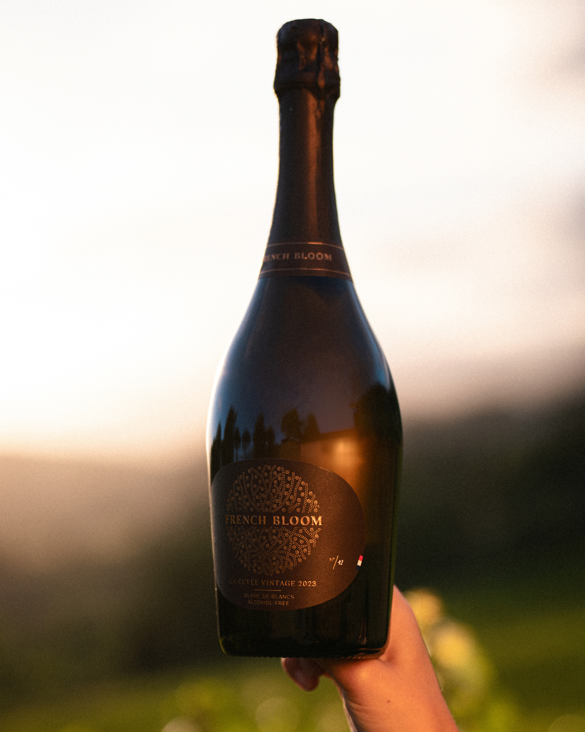 LA CUVÉE VINTAGE 2023 ALCOHOL-FREE SPARKLING WINE - 750ml – French LA CUVÉE VINTAGE 2023 ALCOHOL-FREE SPARKLING WINE - 750ml – French